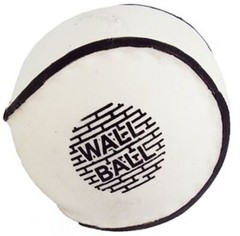 Hurling Online Size 5 Sliotars – Pack of 12 | Stitchless Training Sliotars