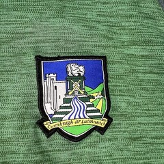 Oneills Limerick GAA Official Supporters Shirt Mens XL Green/White 57/67