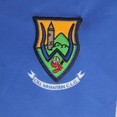 Wicklow GAA Jersey Shirt Mens M O’neills Gaelic Football Ireland Irish Kit Games