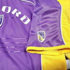 VTG Wexford GAA Jersey YOUTH XL Shirt County Supporters Loch Garman Purple Gold