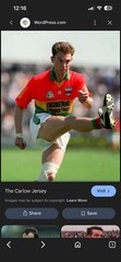 100% Authentic Carlow Gaa Gaelic Football o`neills Jersey Size XL Rare 🔥