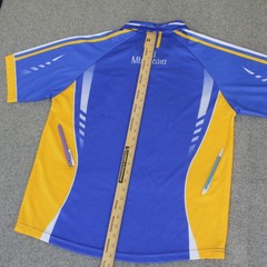 Wicklow GAA Jersey Shirt Mens M O’neills Gaelic Football Ireland Irish Kit Games