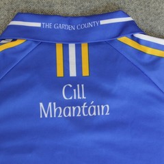 Wicklow GAA Jersey Shirt Mens M O’neills Gaelic Football Ireland Irish Kit Games