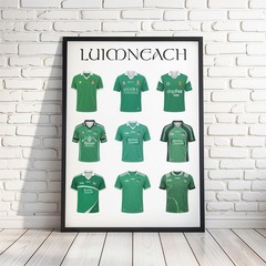 Irish Gaelic Football and Hurling GAA County Poster, A History of each County