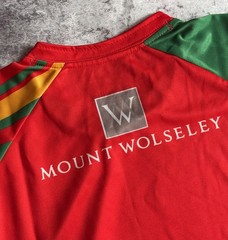 Carlow 2015 GAA Jersey Gaelic Football Shirt O’Neills size 2XL