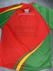 New 2015 Carlow GAA Red Green Jersey Shirt Size XL