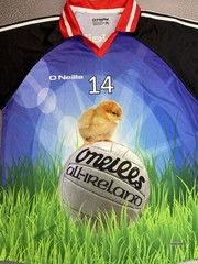 New O’Neills Men’s Chicken Magnet Jersey Multi Size XL