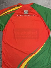 New 2015 Carlow GAA Red Green Jersey Shirt Size Medium
